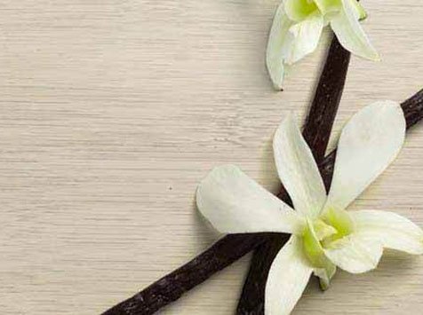 vanilla bean and flower
